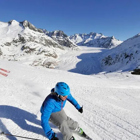 Apartament Vieux Valais Beevalais 1 *