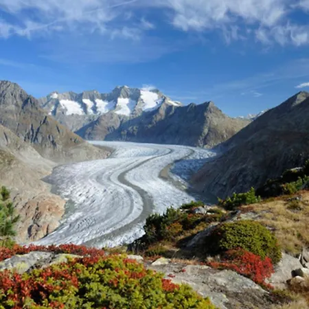 Vieux Valais Beevalais 1 Apartament Riederalp