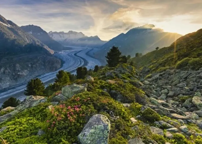 Vieux Valais Beevalais 1