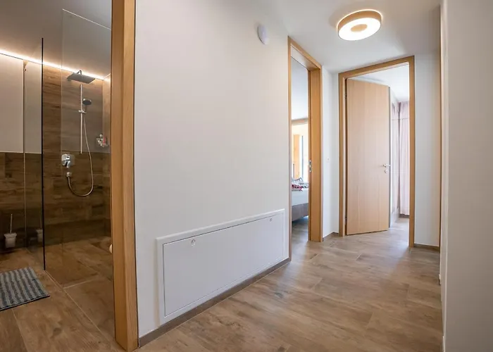 Apartment Vieux Valais Beevalais 1 *
