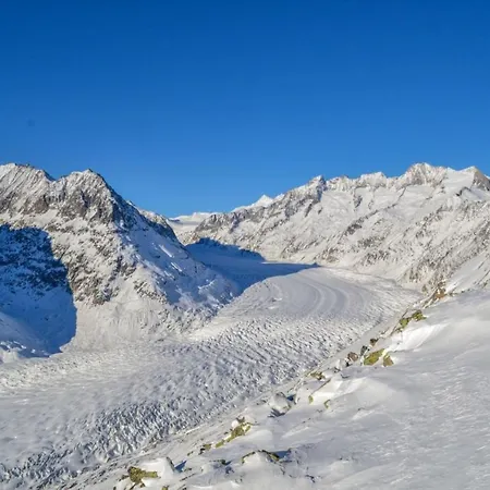 Vieux Valais Beevalais 1 Apartment