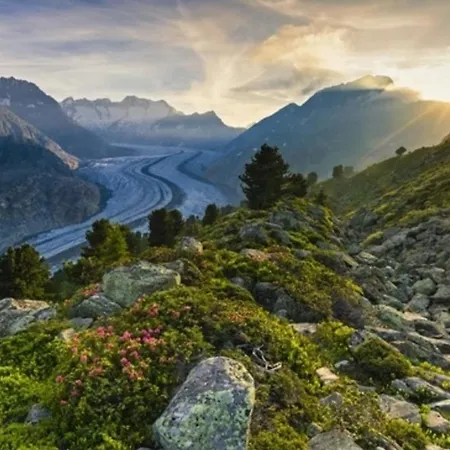 Vieux Valais Beevalais 1